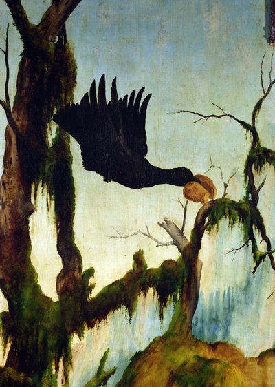 A visita de Santo Antônio a São Paulo, do eremita, do retábulo de Isenheim. Detalhe, de, um, corvo, carregar, um, pedaço pão, c.1512-16, óleo, ligado, painel de Matthias Grünewald